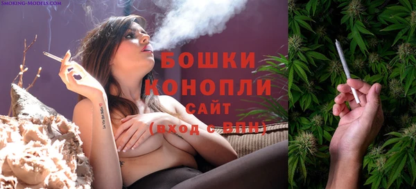 сатива Ростов