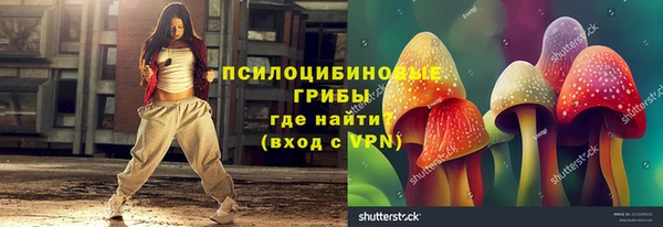 spice Абинск